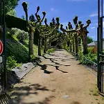 L'écrin De Villa Sarlat